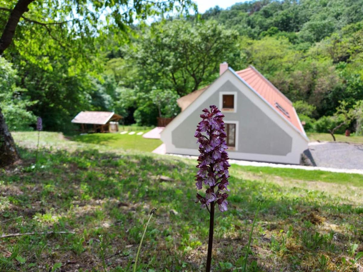 Kosbor Vendeghaz Apartment Monoszlo Bagian luar foto