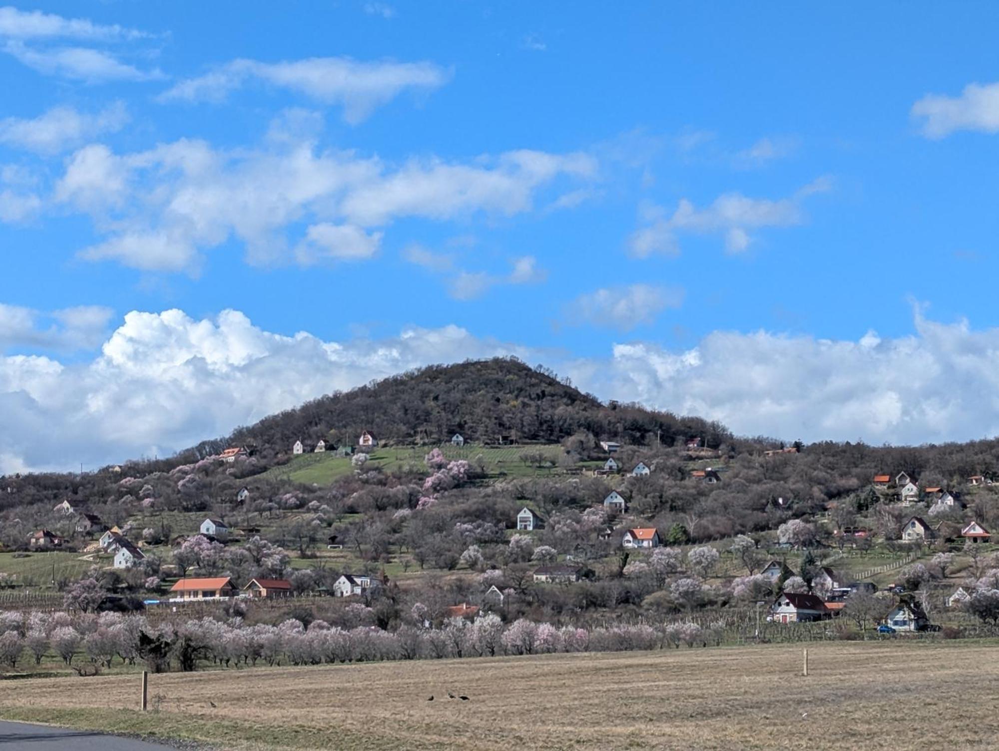 Kosbor Vendeghaz Apartment Monoszlo Bagian luar foto